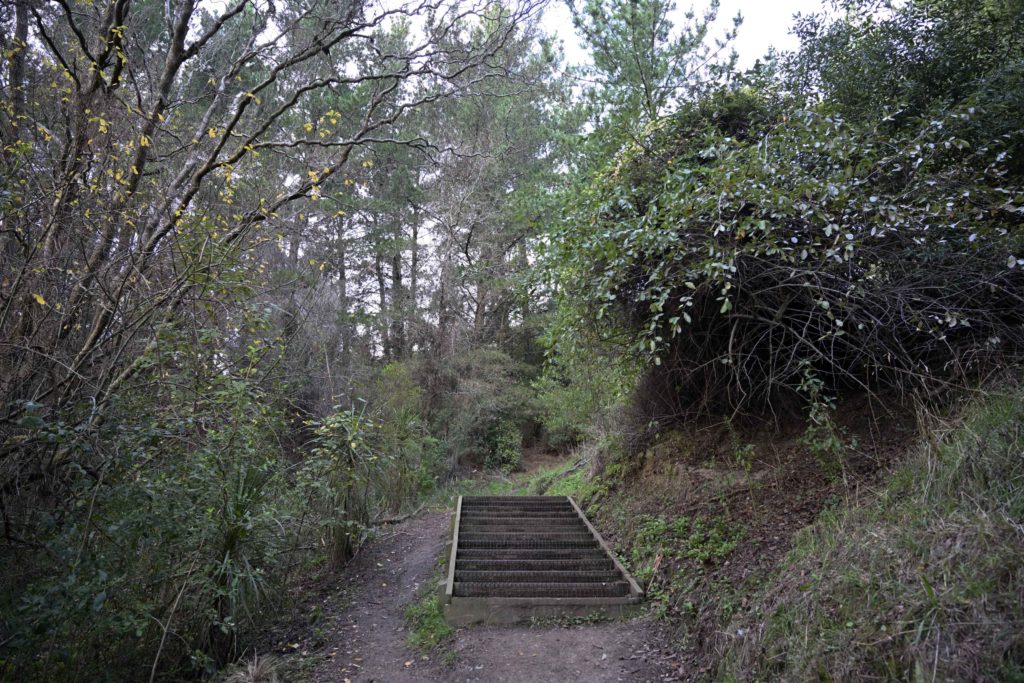 local reserve in Christchurch