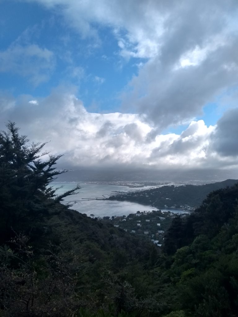 Looking from the beech forest across York Bay to Lower Hutt, eastern side of Port Nicholson