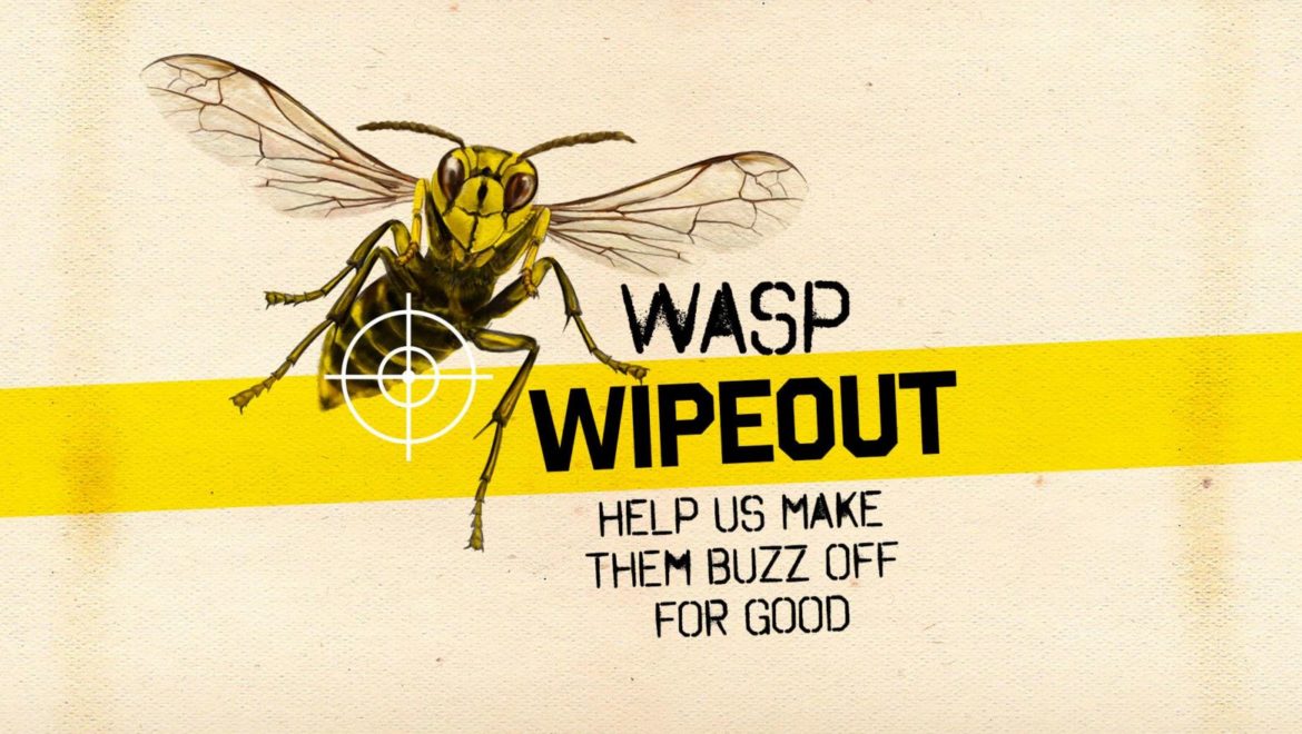 WASP wipeout